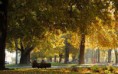 /album/fotogaleria/alameda-jpg/